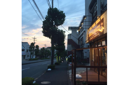 モカジャバ多摩焙煎アトリエ店の画像
